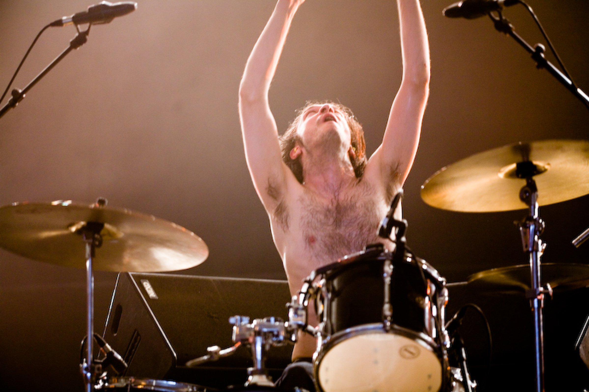 Part Chimp · photo 1