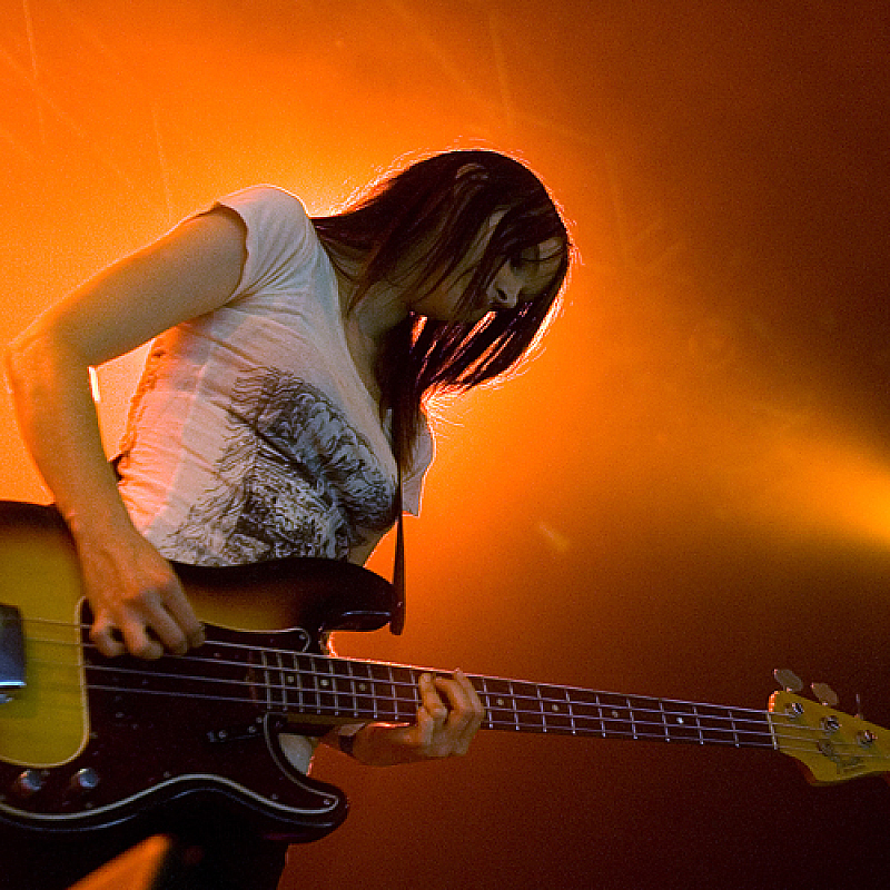 The Veils