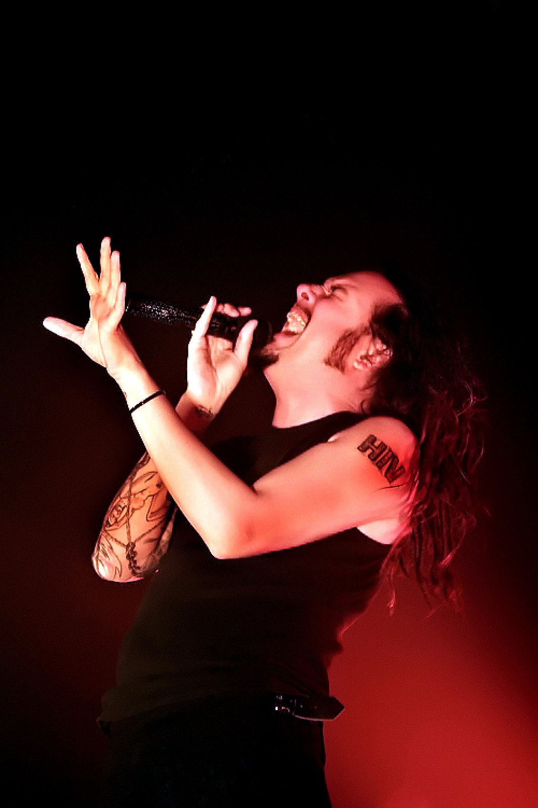 Korn · photo 1