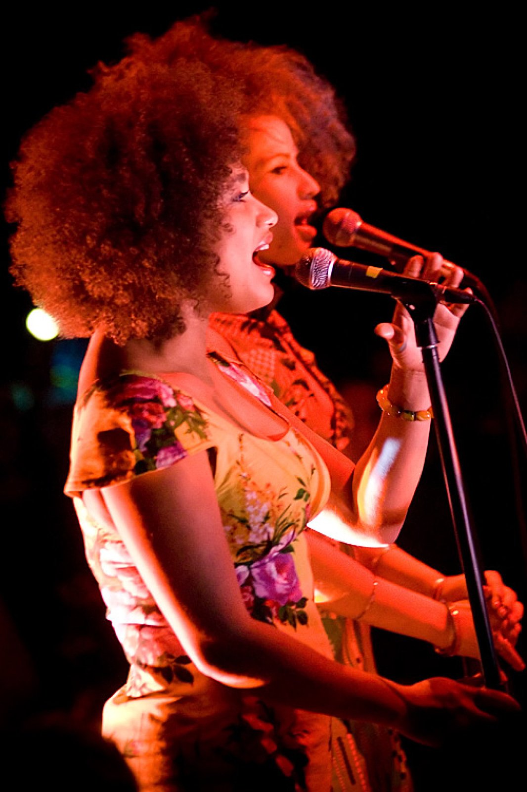 Zita Swoon · photo 1