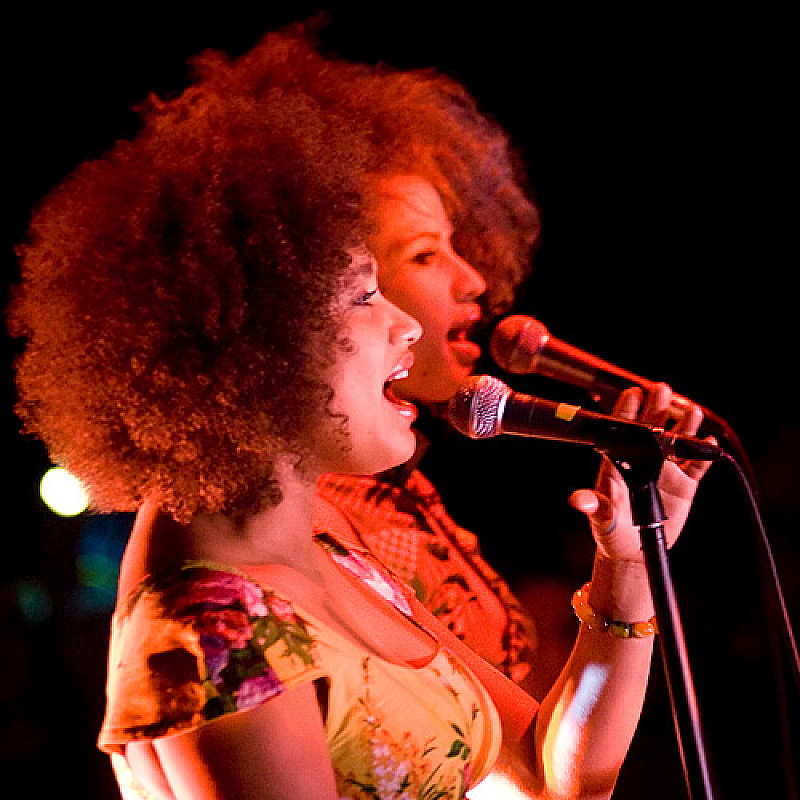 Zita Swoon