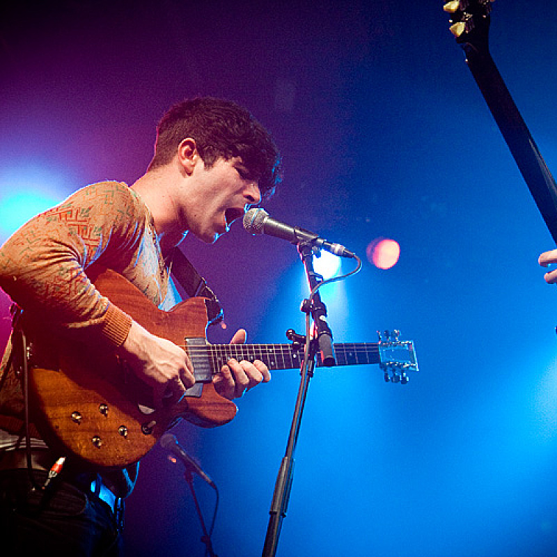 Foals