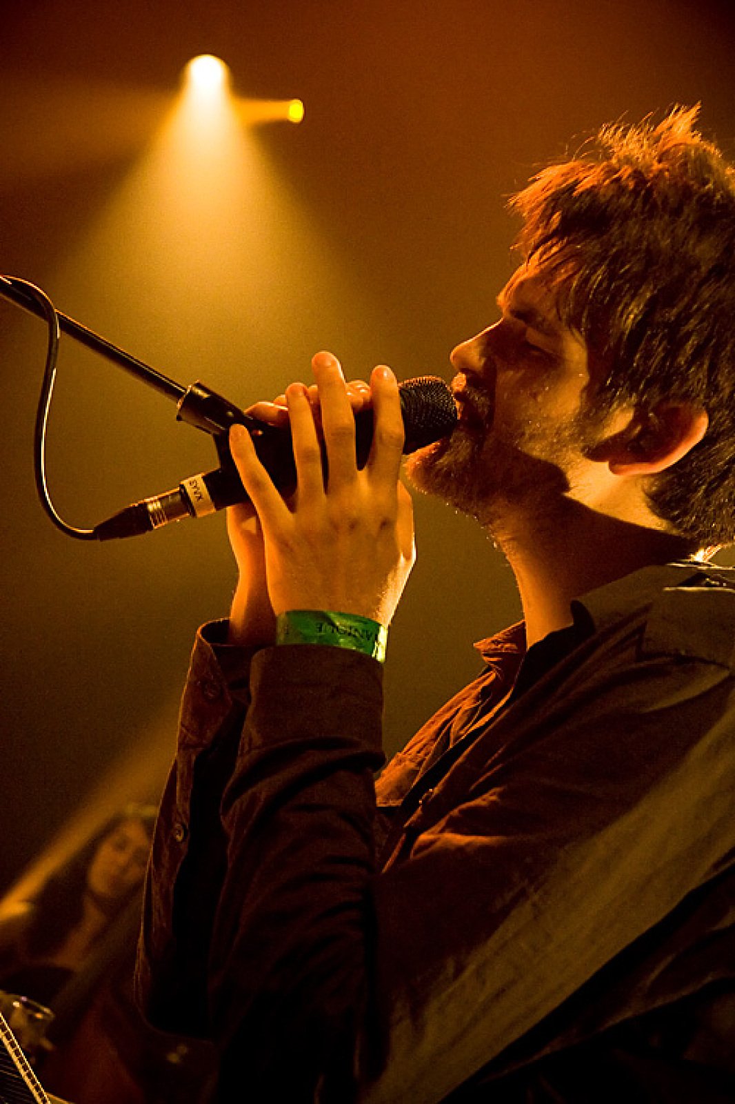 Guillemots · foto 1