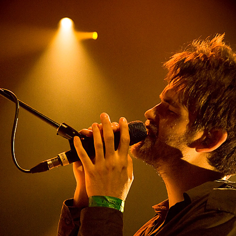 Guillemots