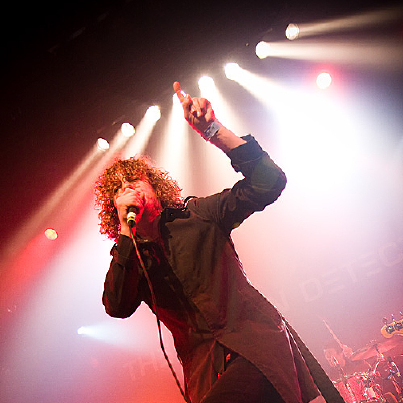 The Pigeon Detectives
