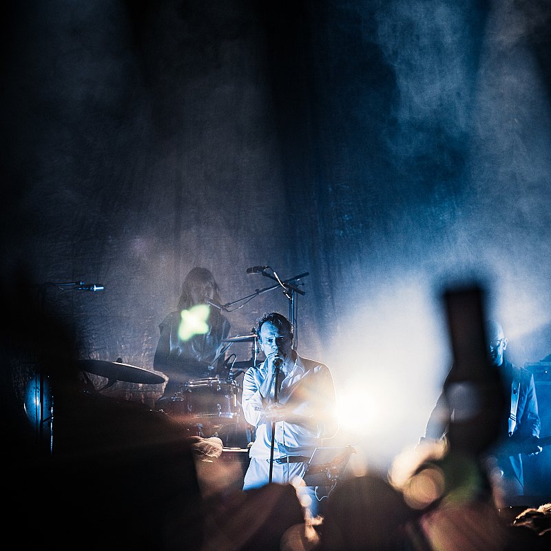Daan at viernulvier