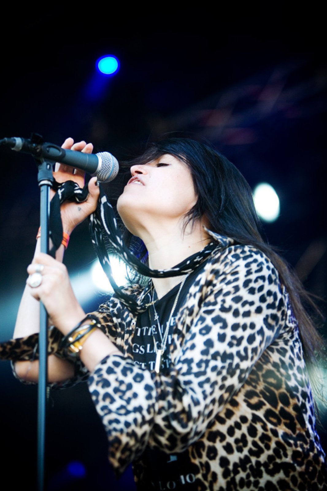 The Kills · photo 1