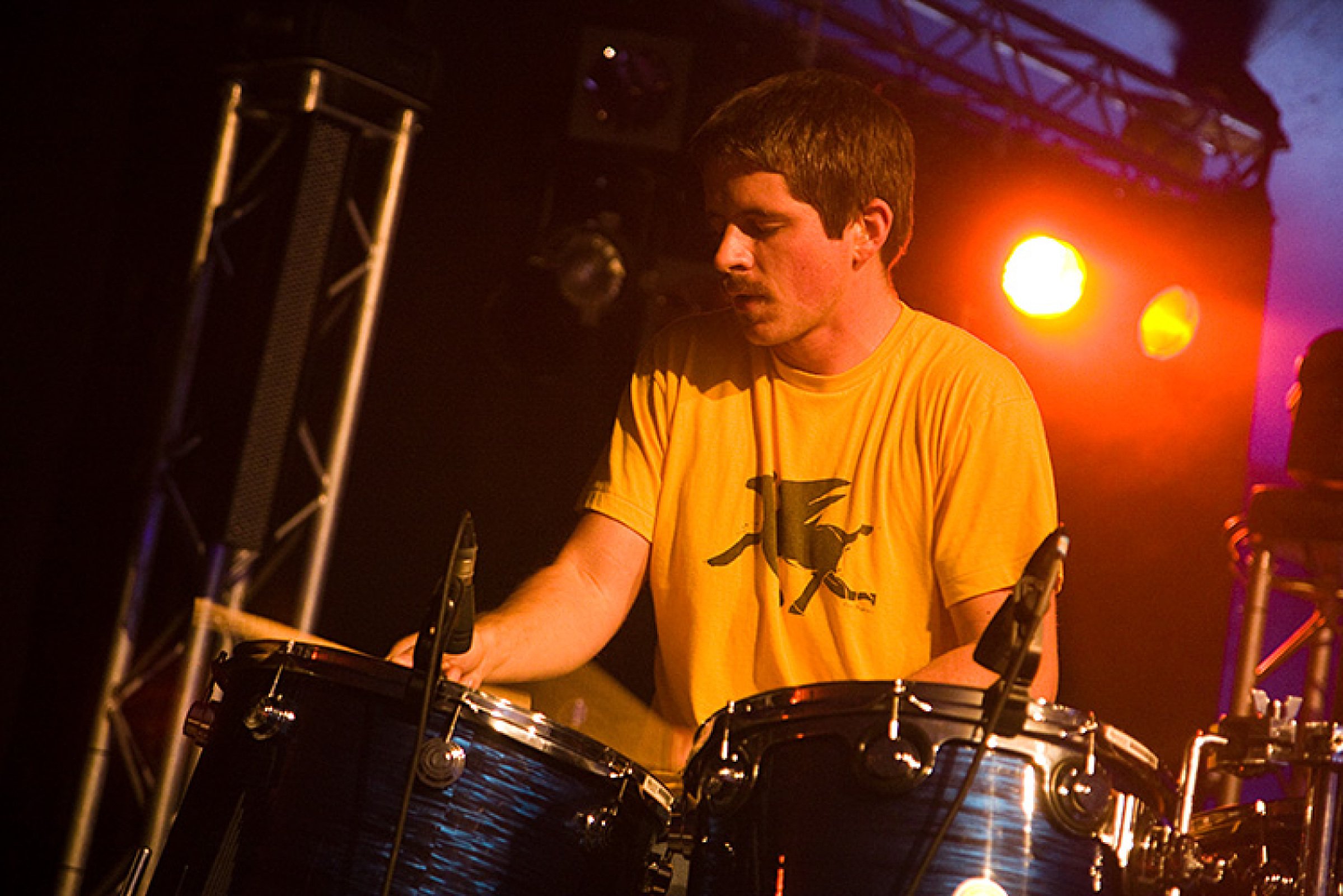 The Dodos · photo 1