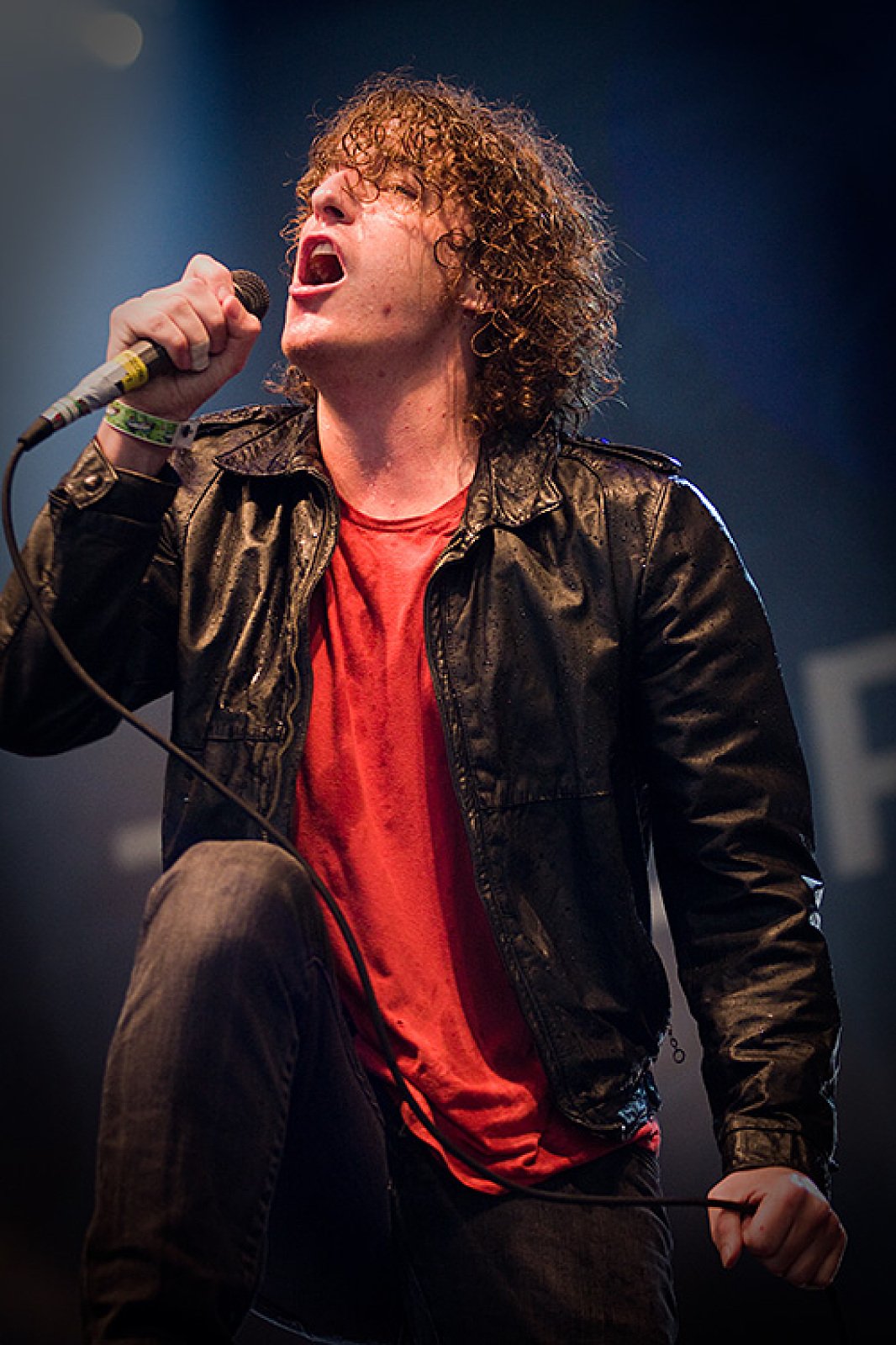 The Pigeon Detectives · photo 1