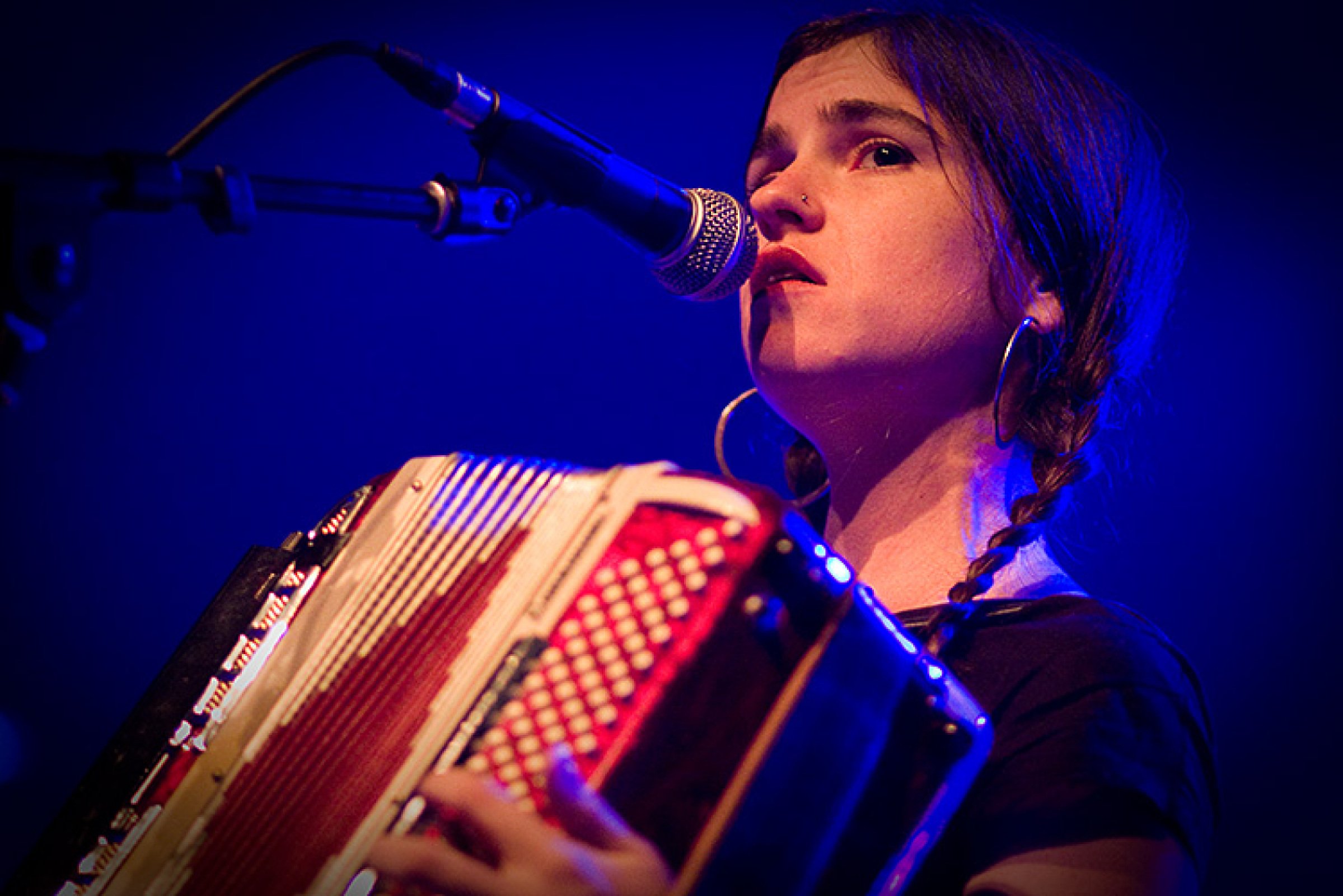 Bowerbirds · foto 1