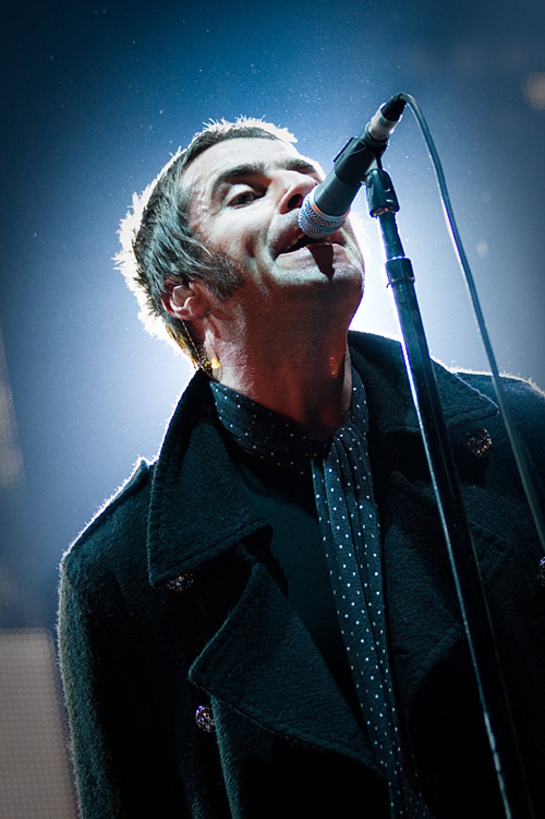 Oasis · photo 1