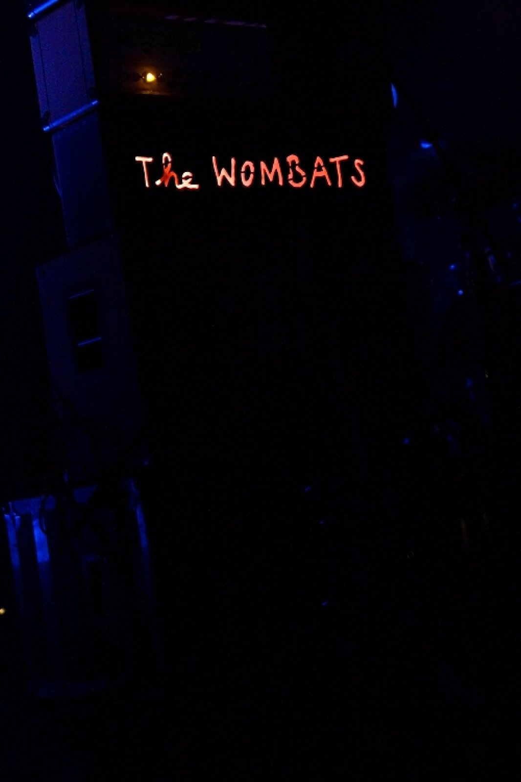 The Wombats · photo 1