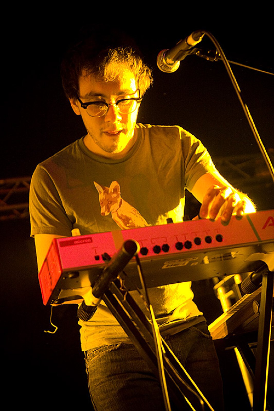 Tokyo Police Club · foto 1