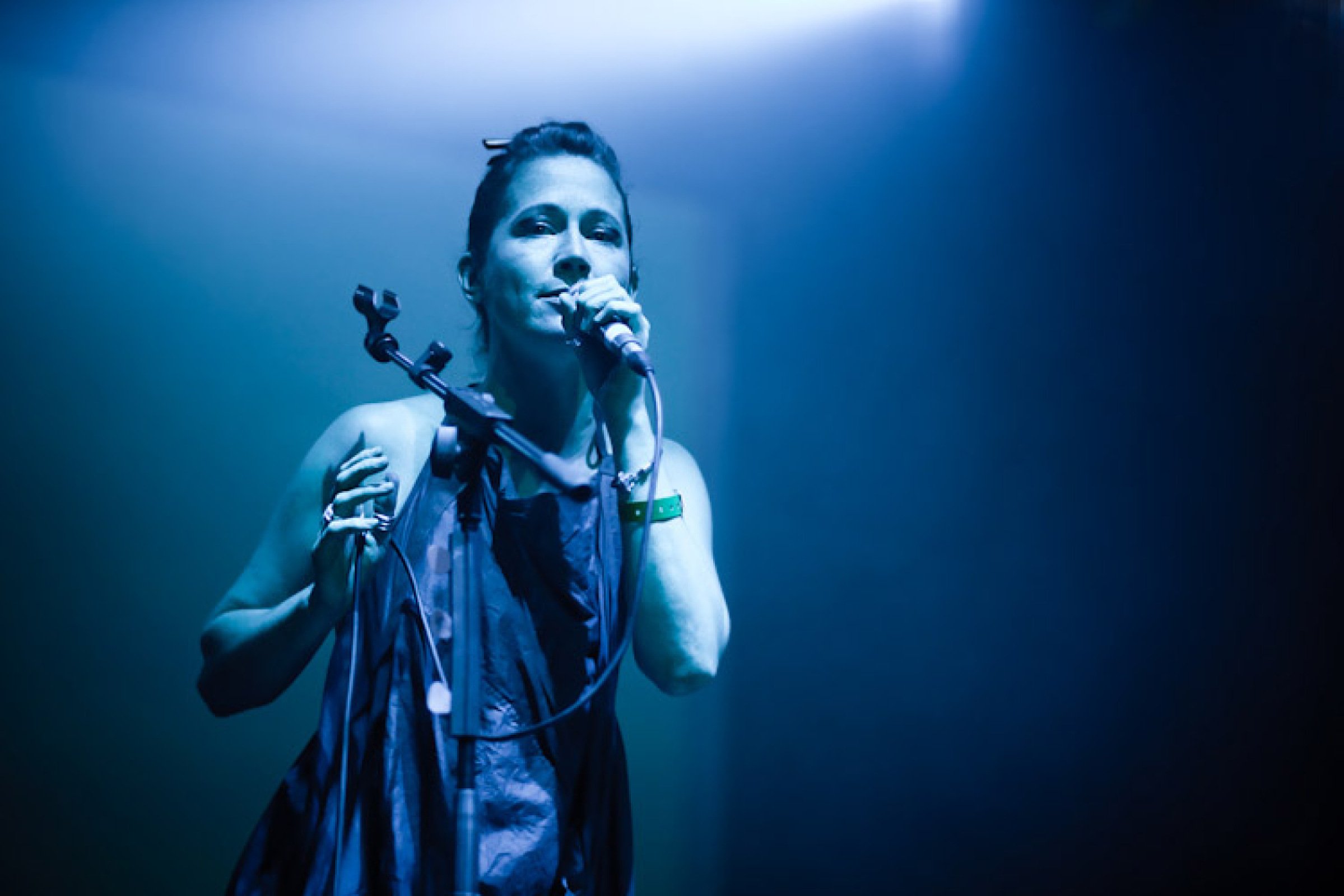 Lamb · photo 1