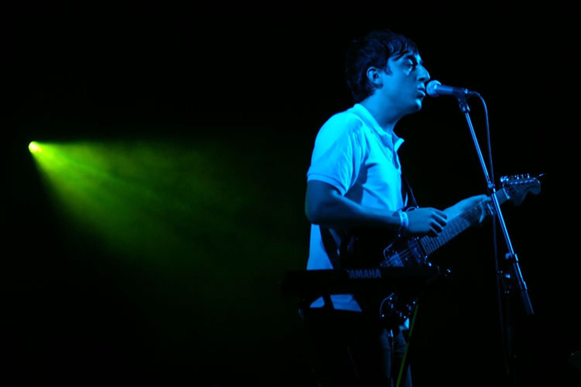 Grizzly Bear · foto 1