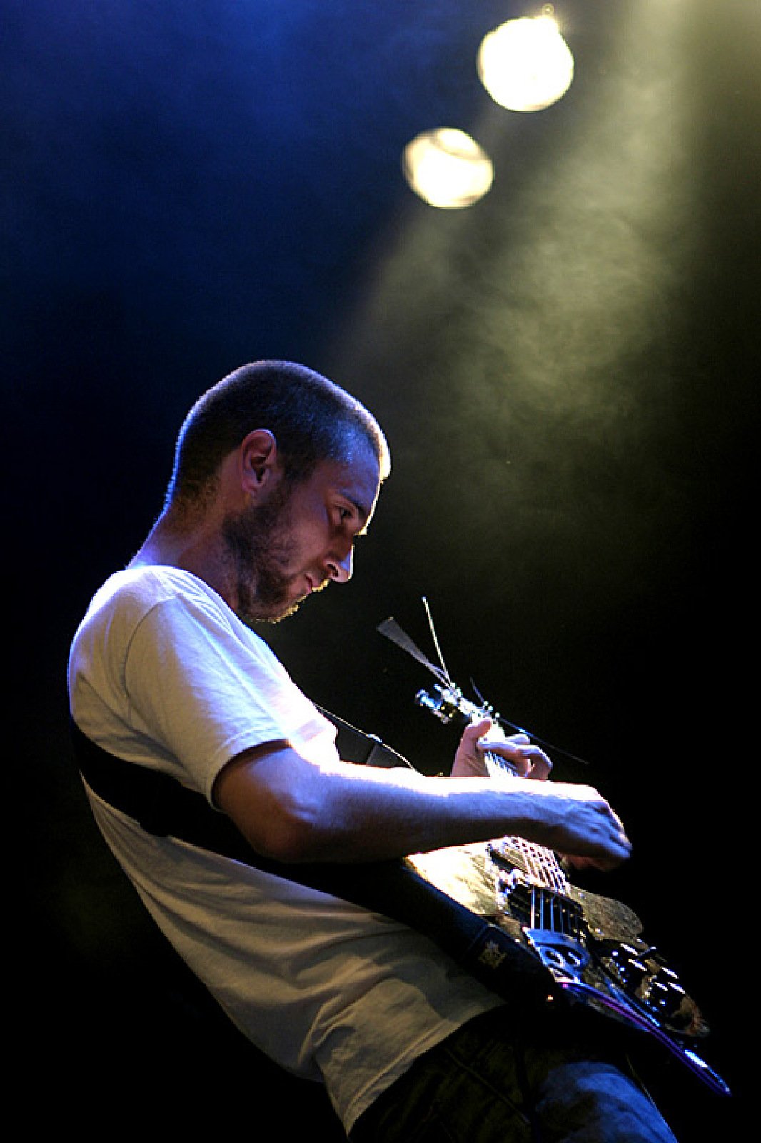 TODD · photo 1