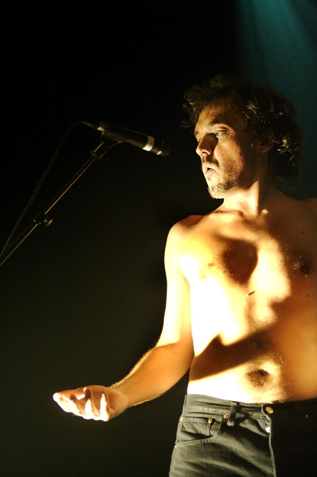 Sharko · photo 1