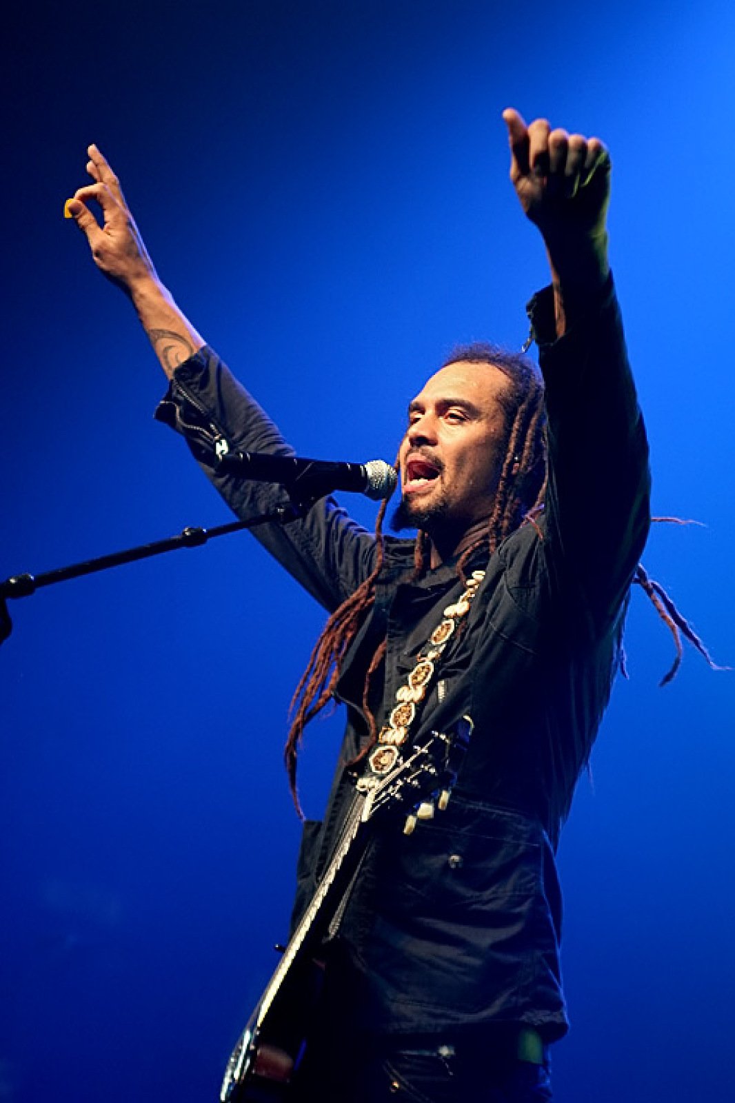 Michael Franti & Spearhead · foto 1