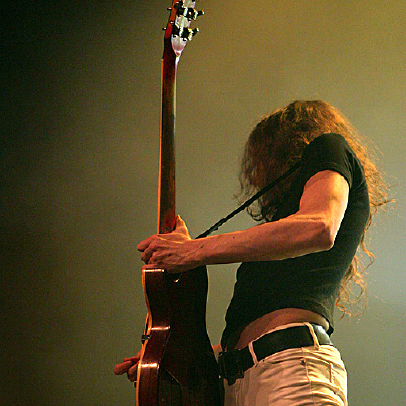 The Datsuns