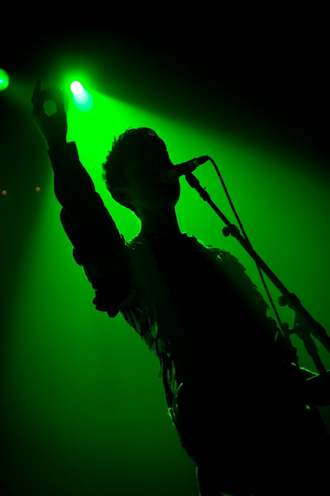These New Puritans · foto 1