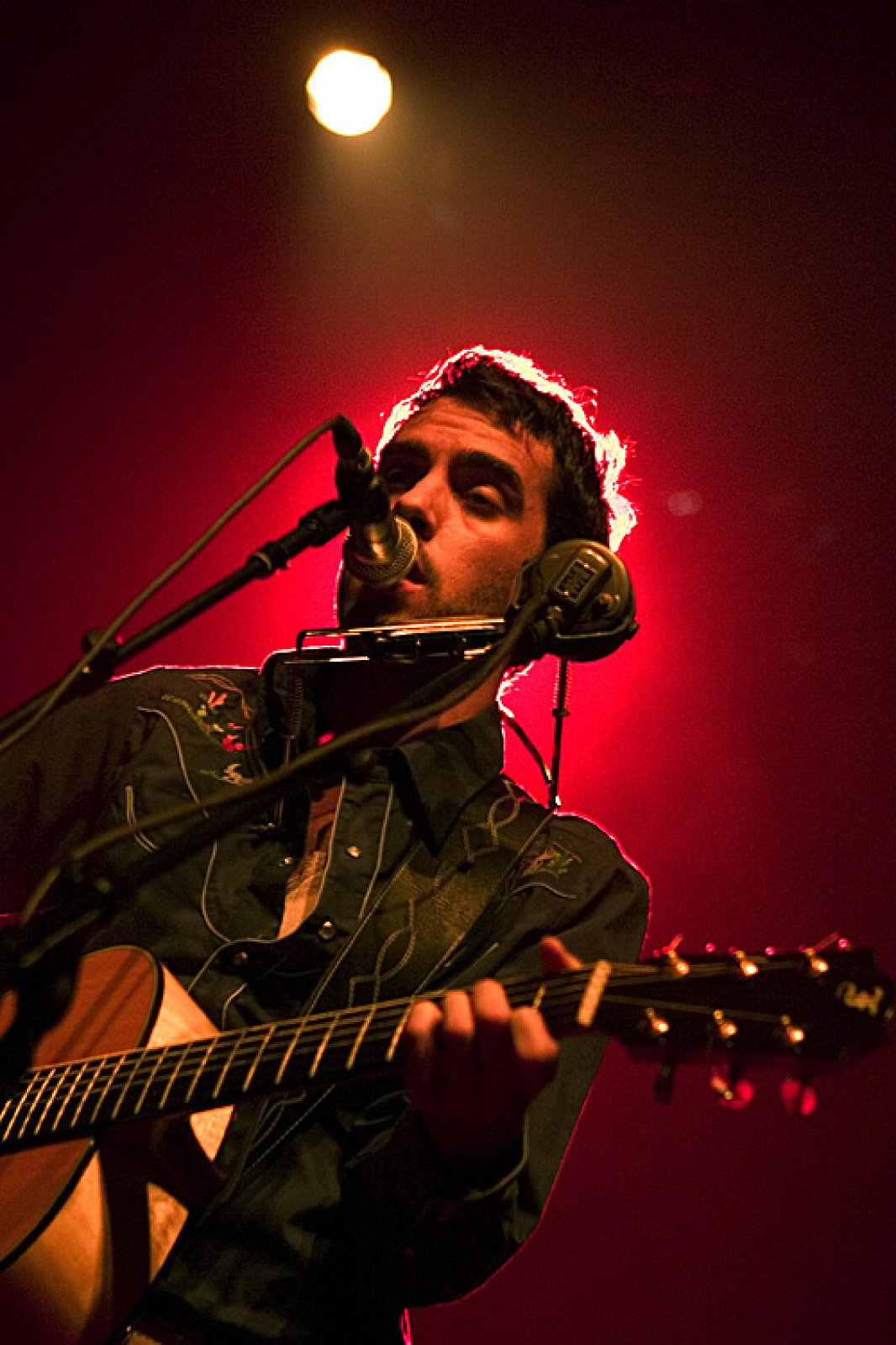 Kris Dane · photo 1