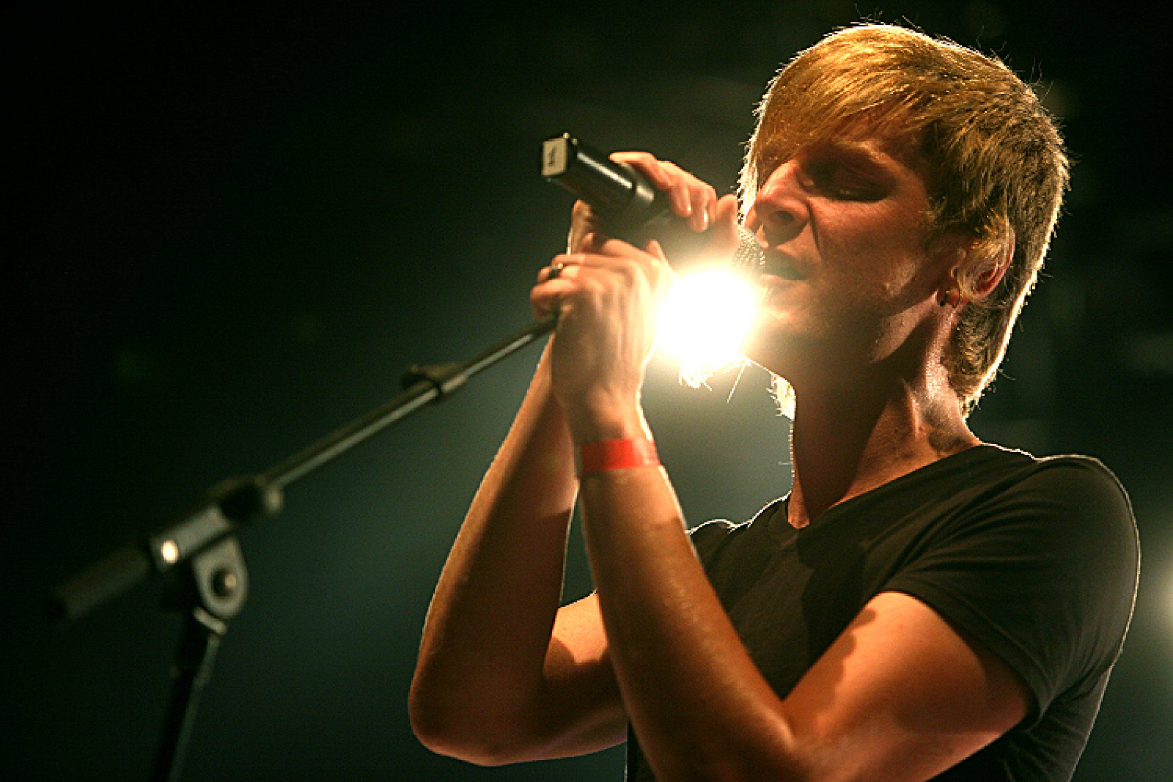 Ozark Henry · photo 1