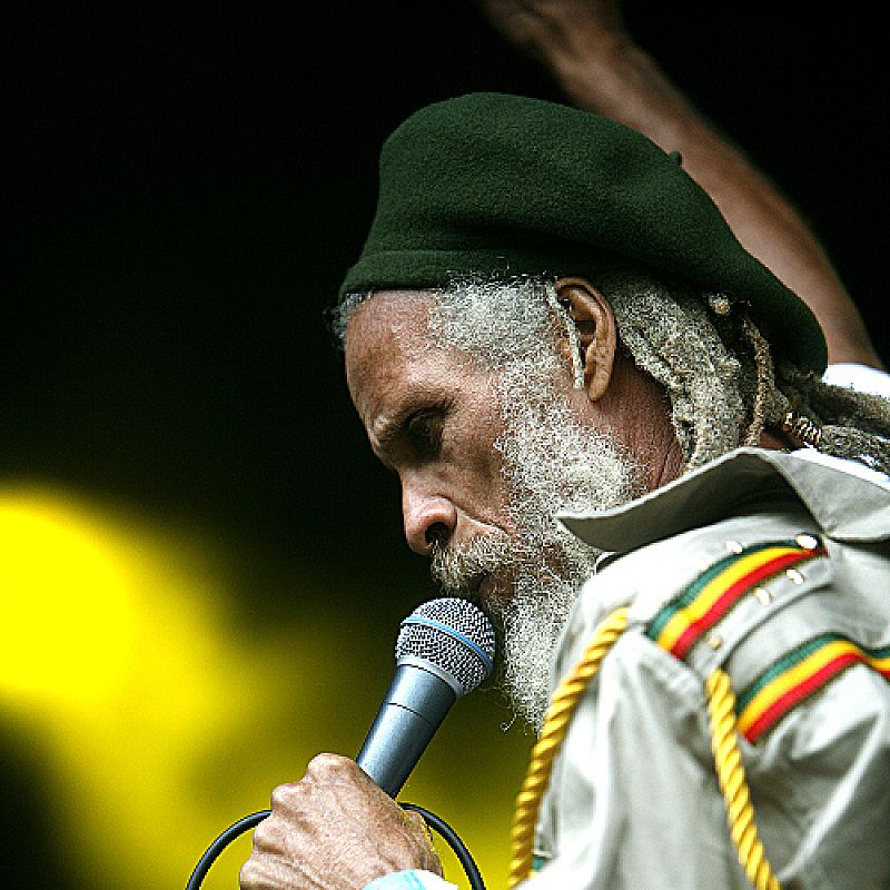The Congos