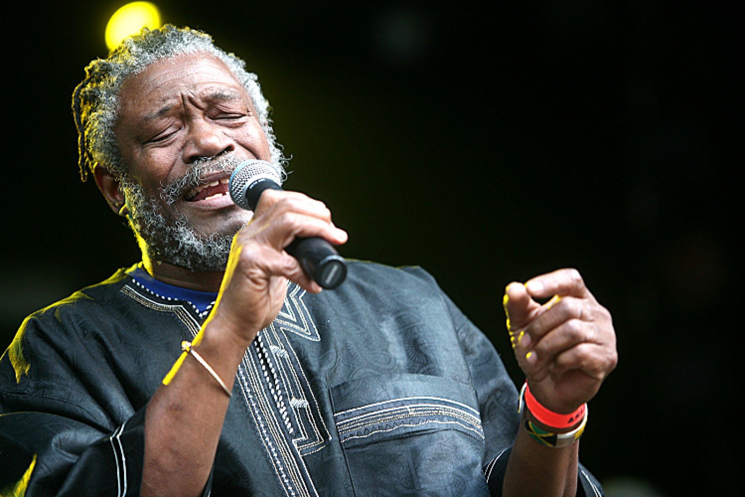 Horace Andy & D. A. Band · photo 1