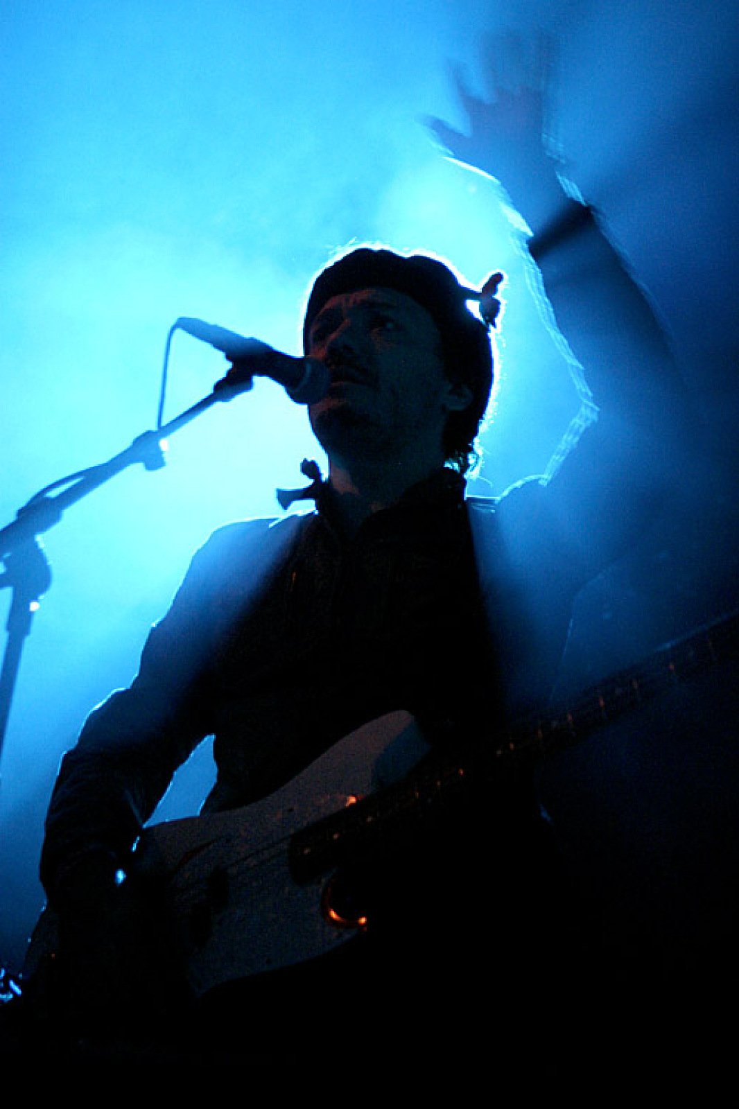 Sharko · photo 1