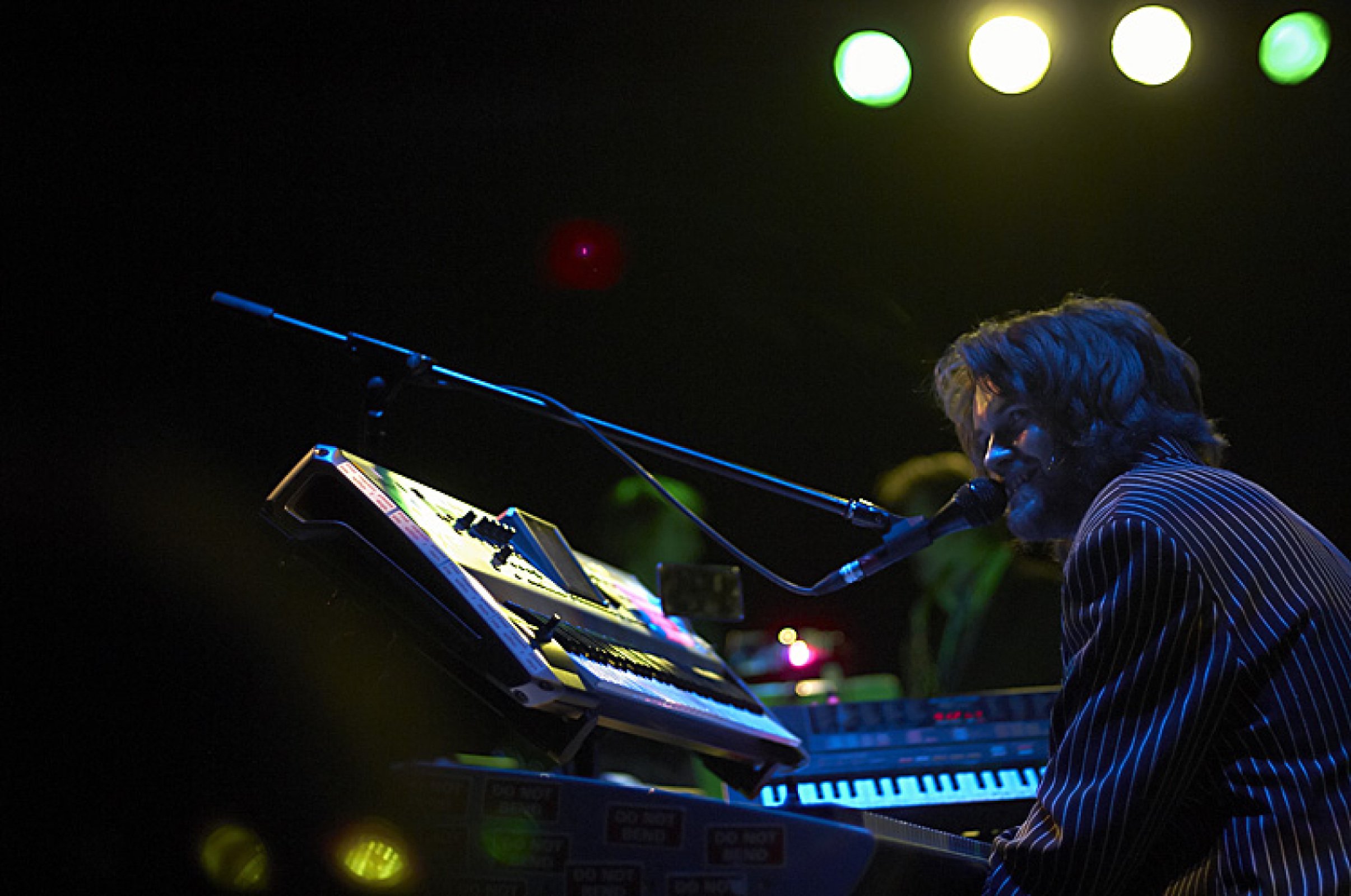 Guillemots · foto 1