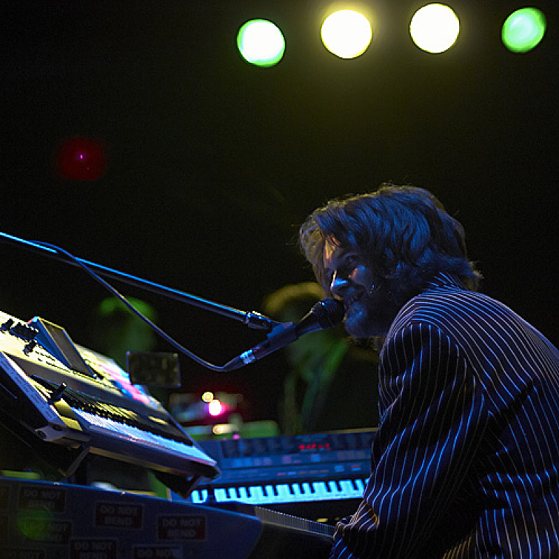 Guillemots