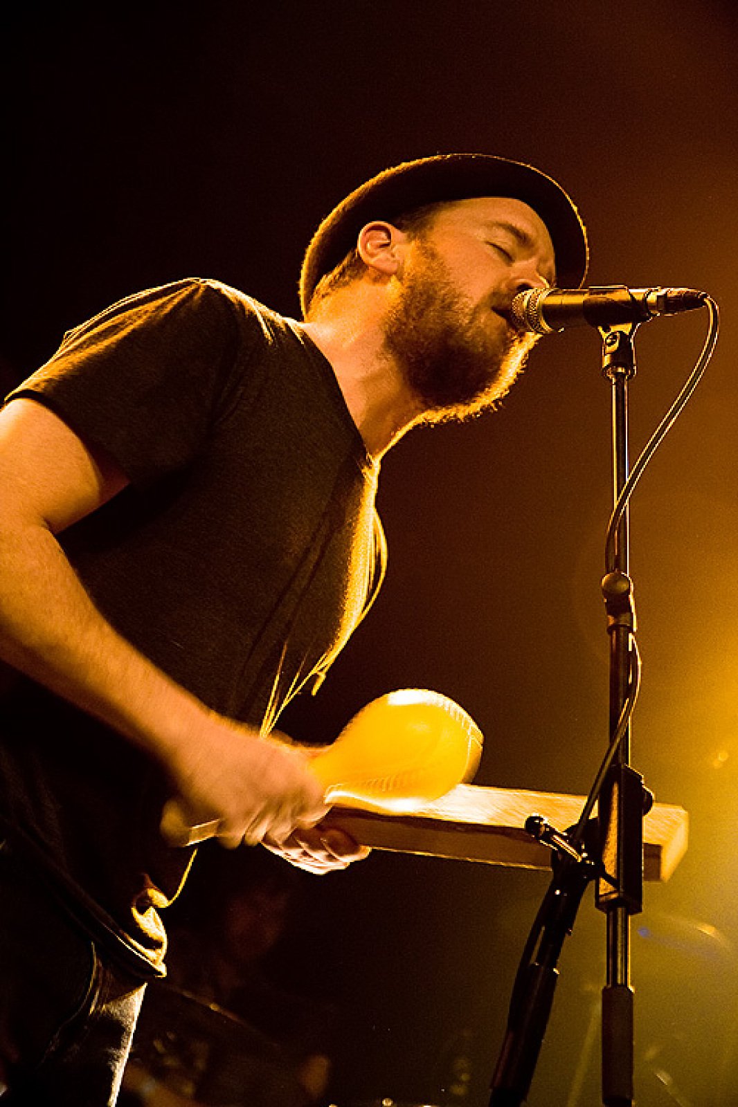 The Cave Singers · photo 1