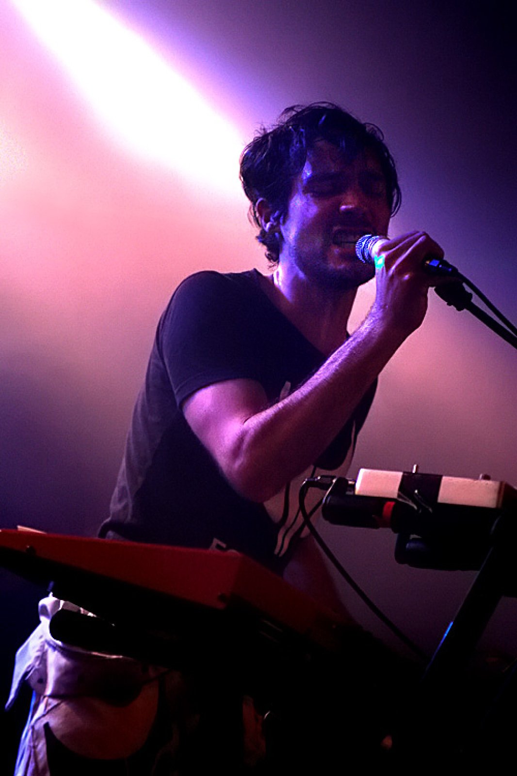Foxylane · photo 1