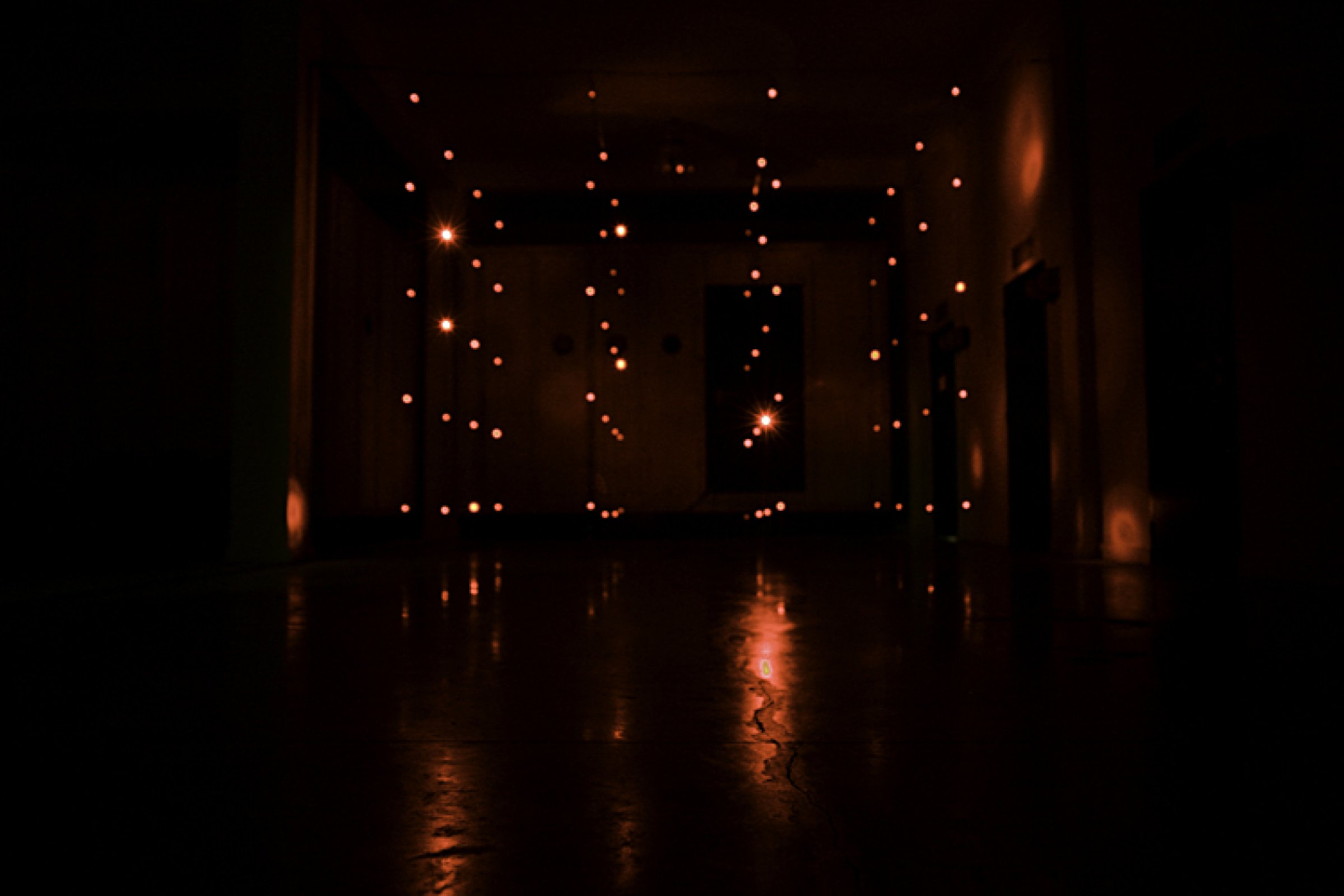 Ken De Cooman · photo 1