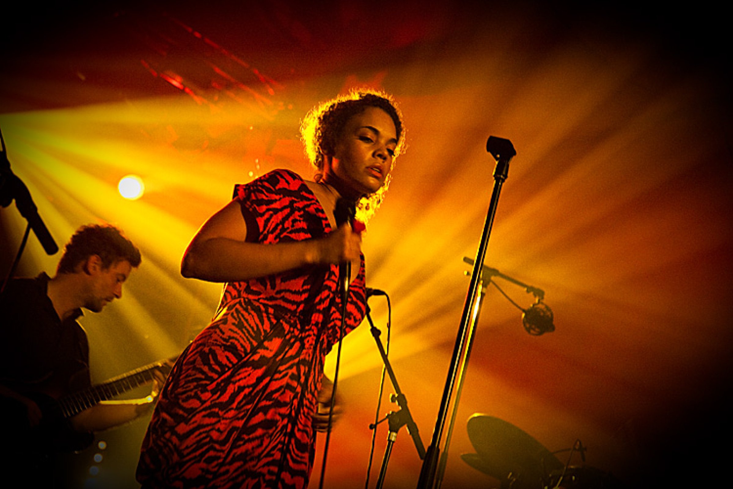 Bonobo · foto 1