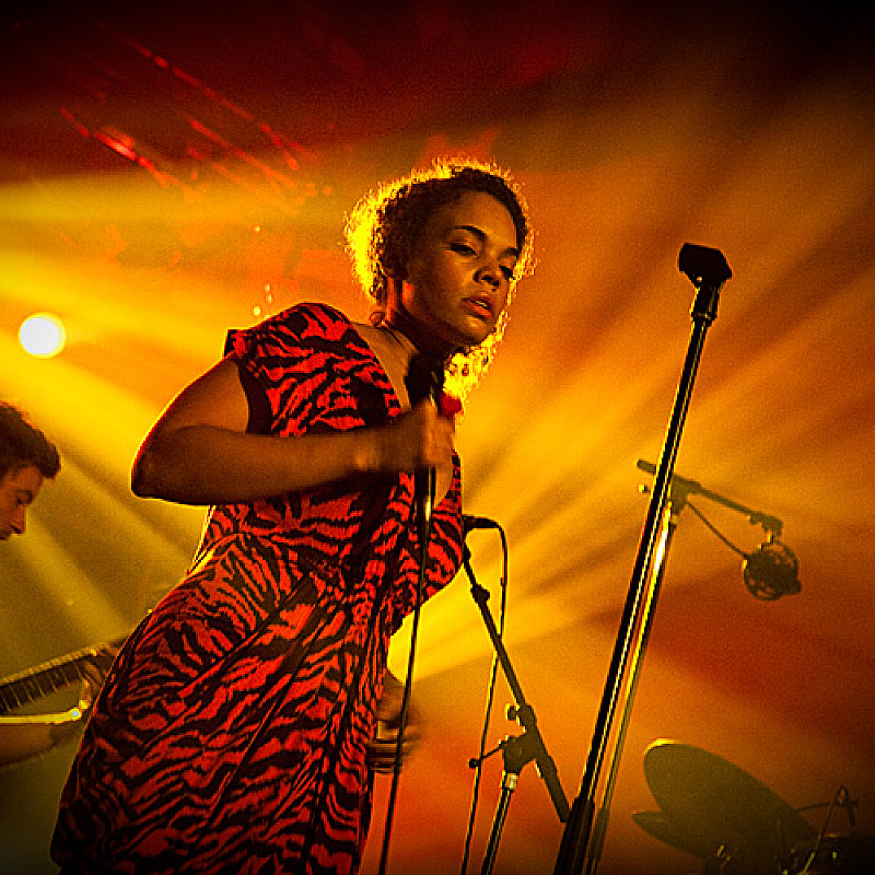 Bonobo