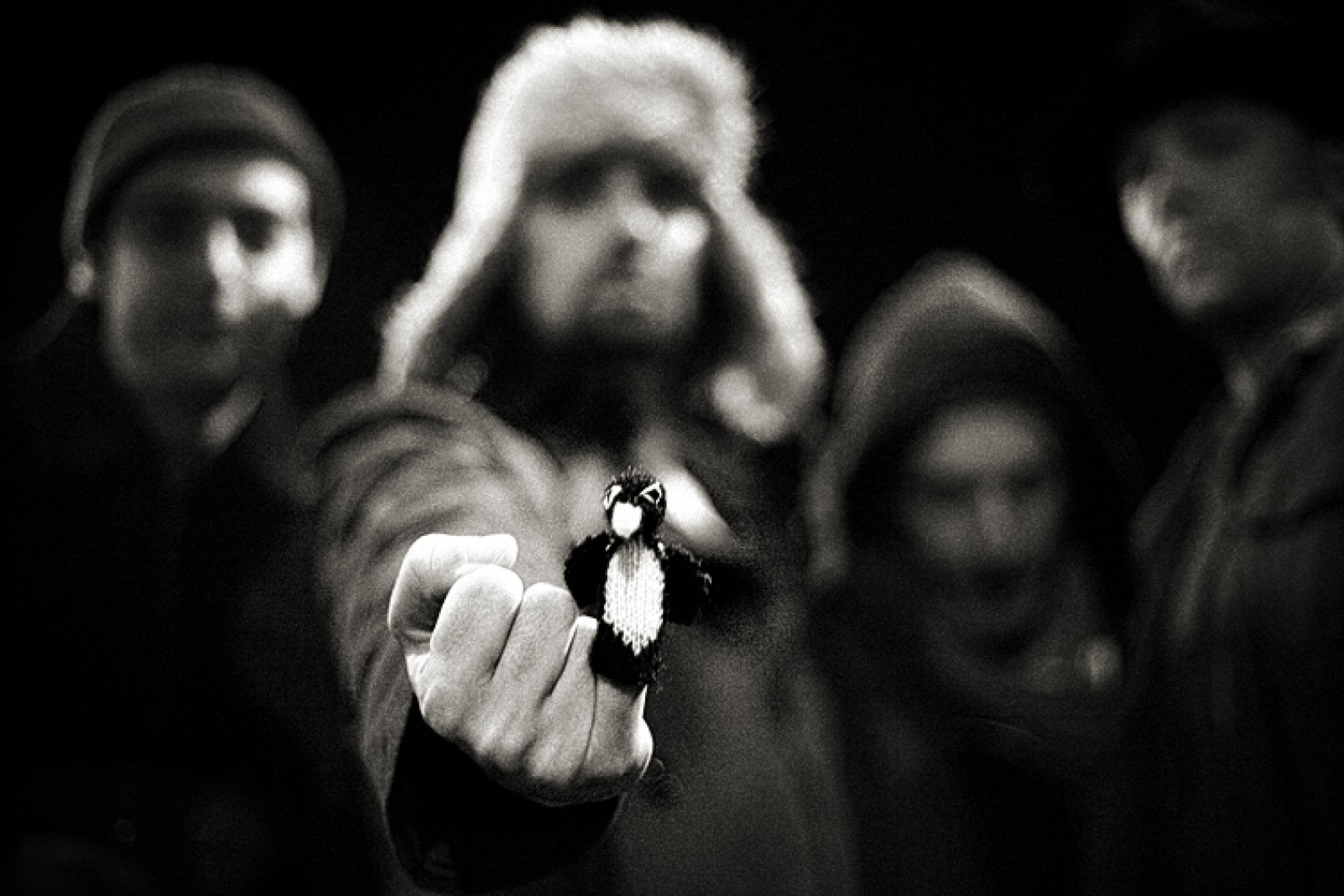 Kowzi · foto 1
