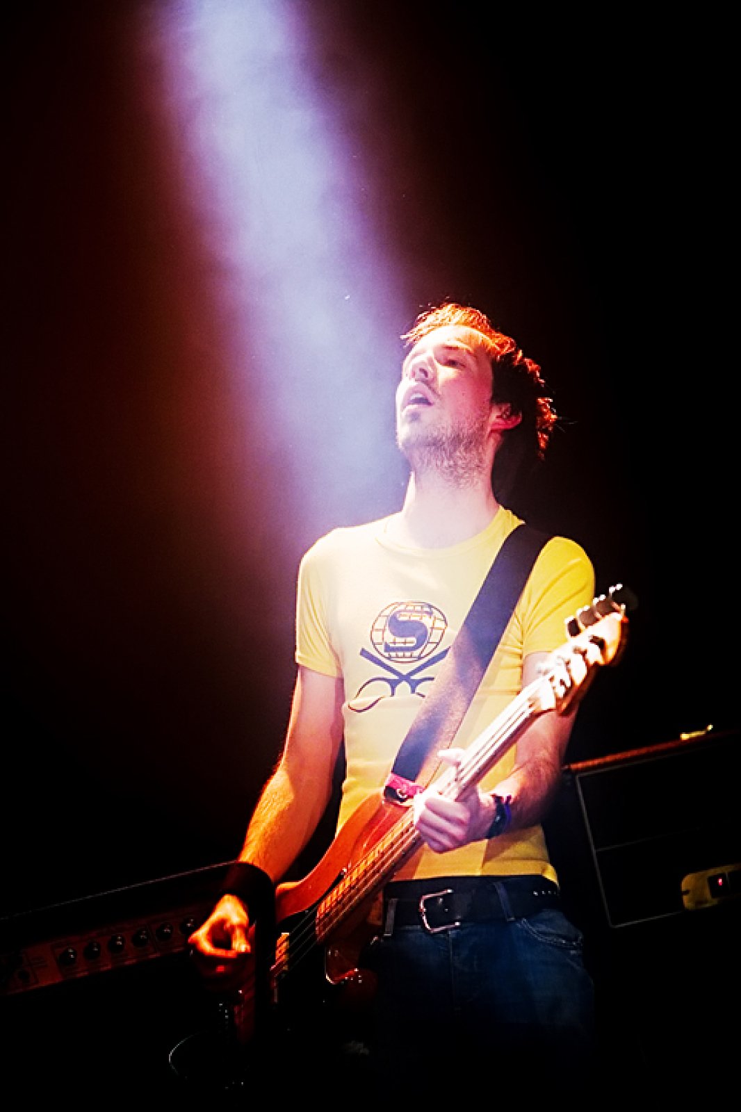 The Germans · photo 1