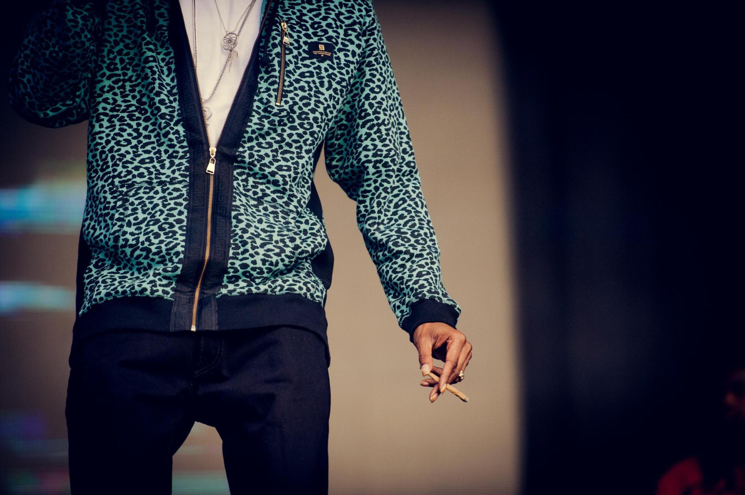 Snoop Dogg A.K.A. Snoop Lion · photo 1