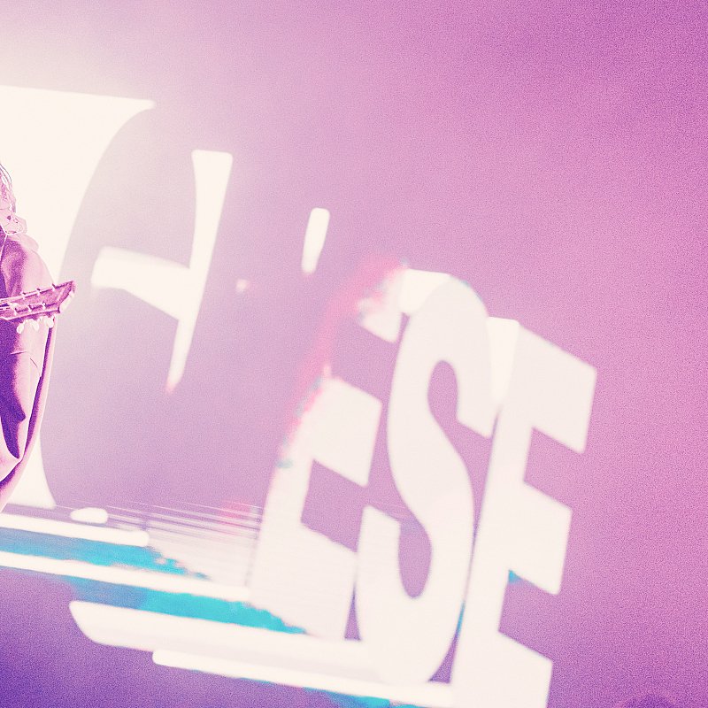 Geese at Pukkelpop 2026