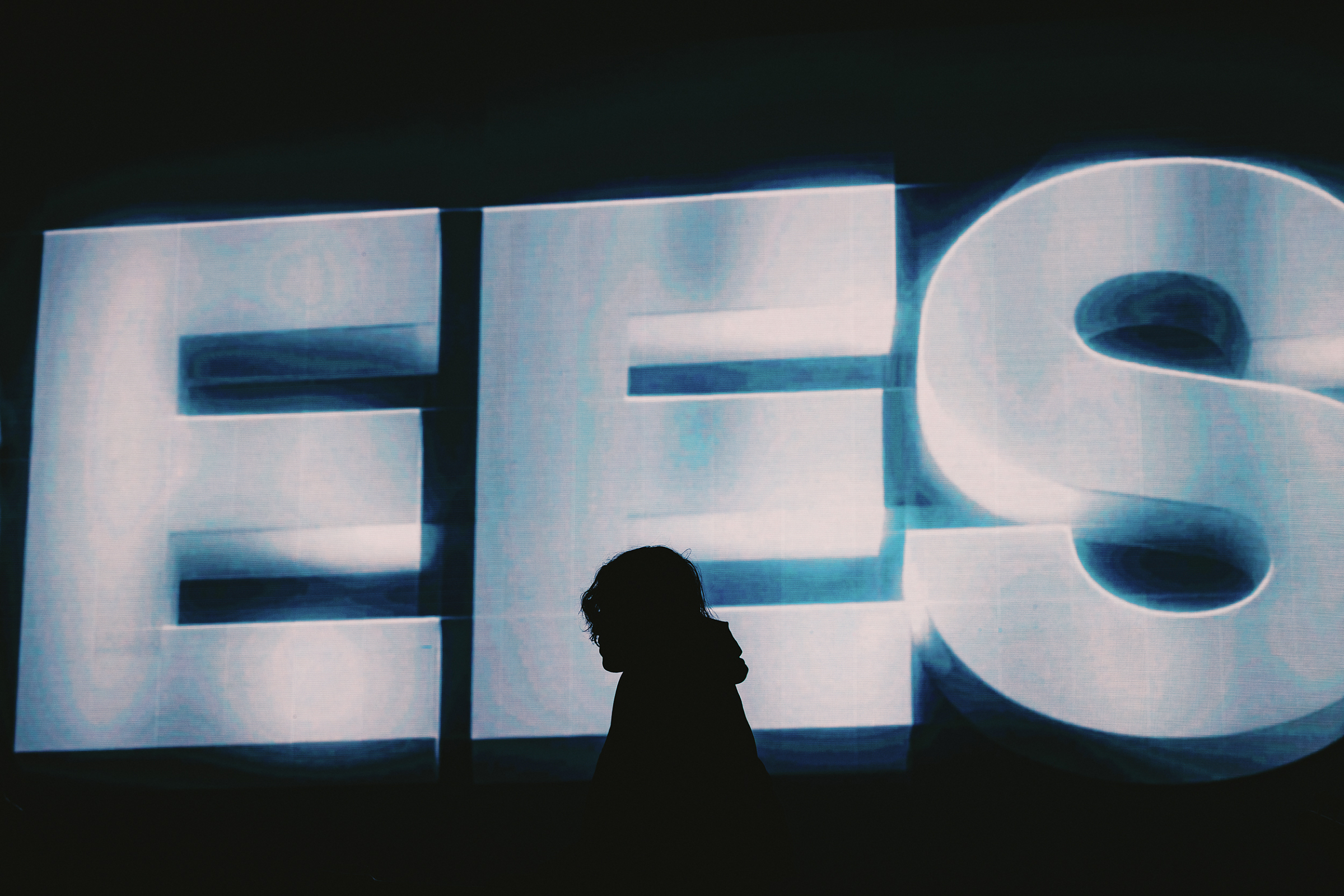 Geese at Pukkelpop 2026