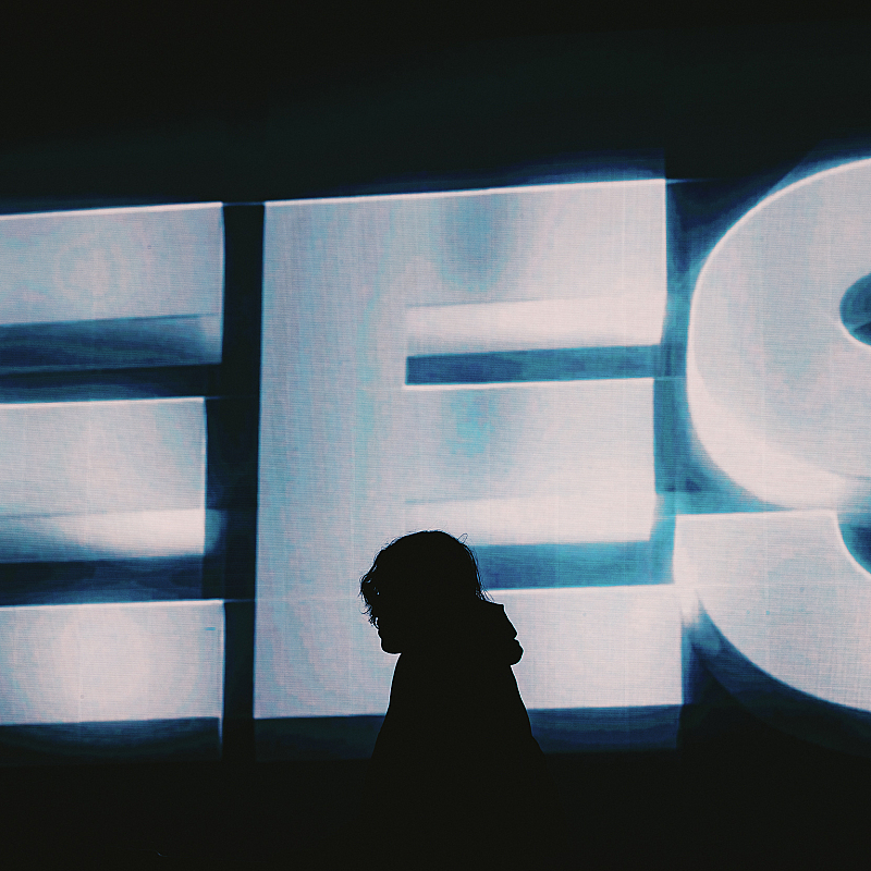Geese