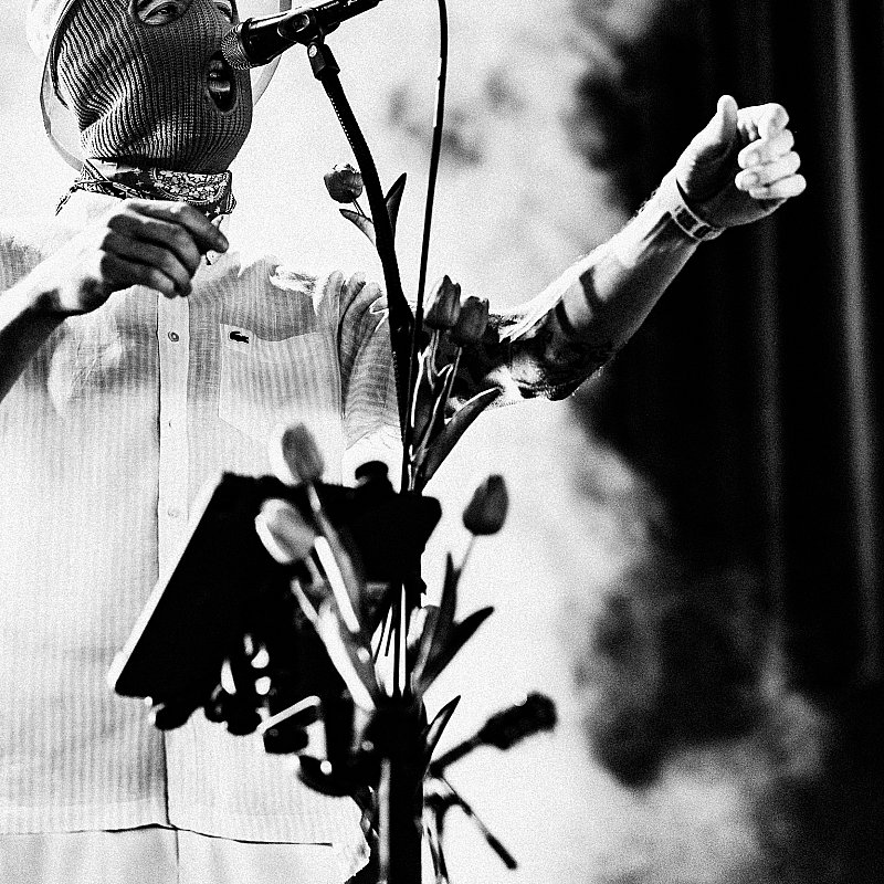 Pale Jay at Pukkelpop 2026