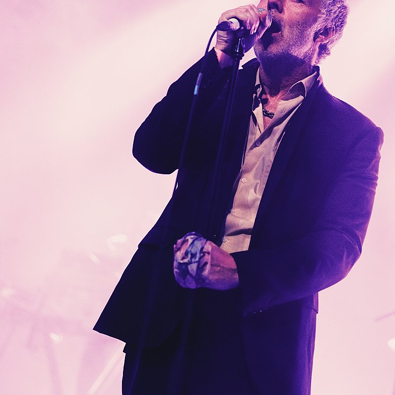 Baxter Dury at Pukkelpop 2026