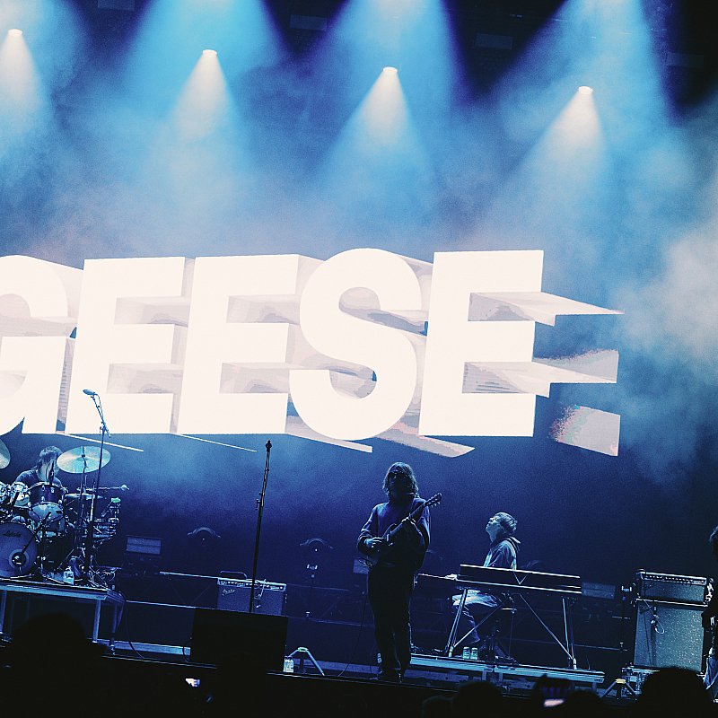 Geese at Pukkelpop 2026