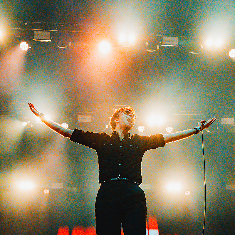 The Vaccines