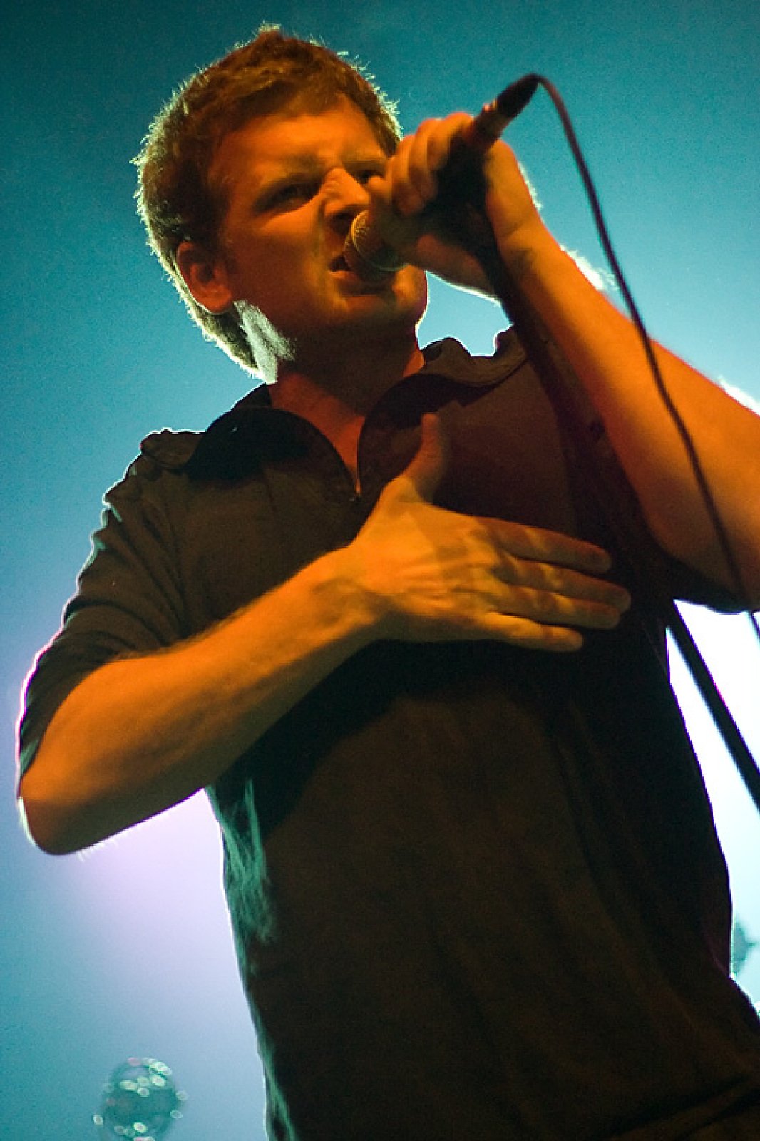 Racoon · foto 1