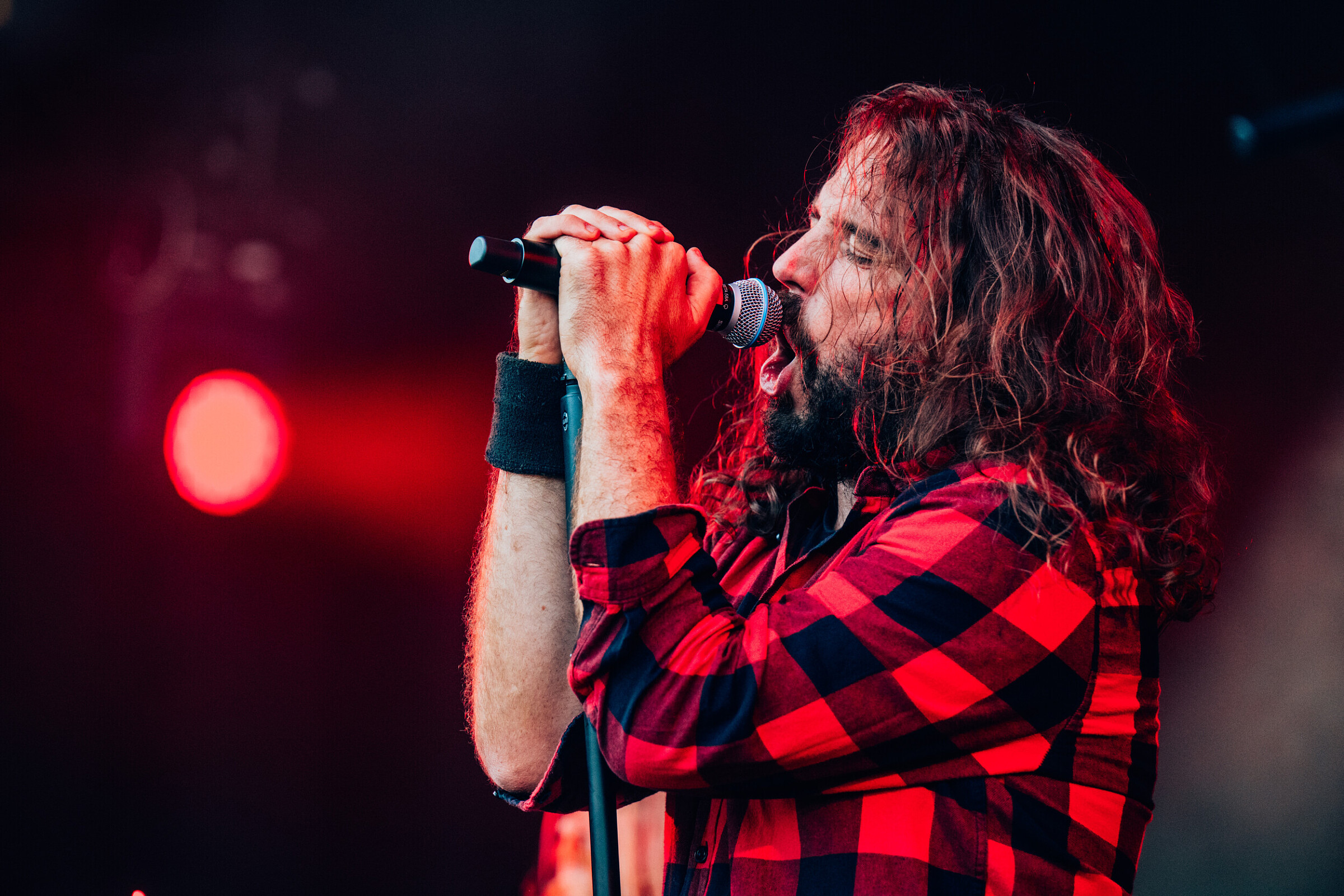 In Your Honor live op Rijversfestival 2026, 2026 · foto 1