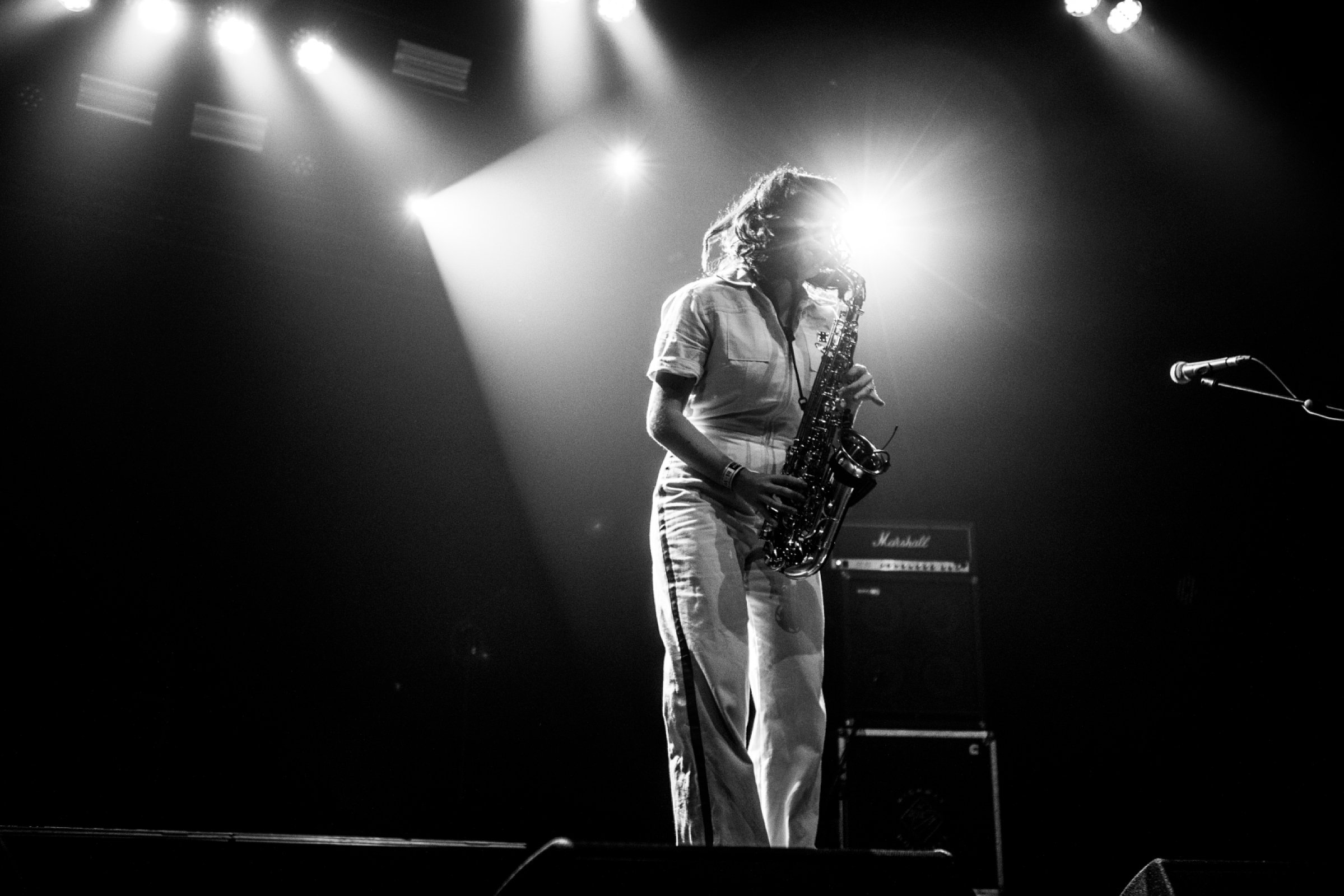 Party Dozen · photo 1