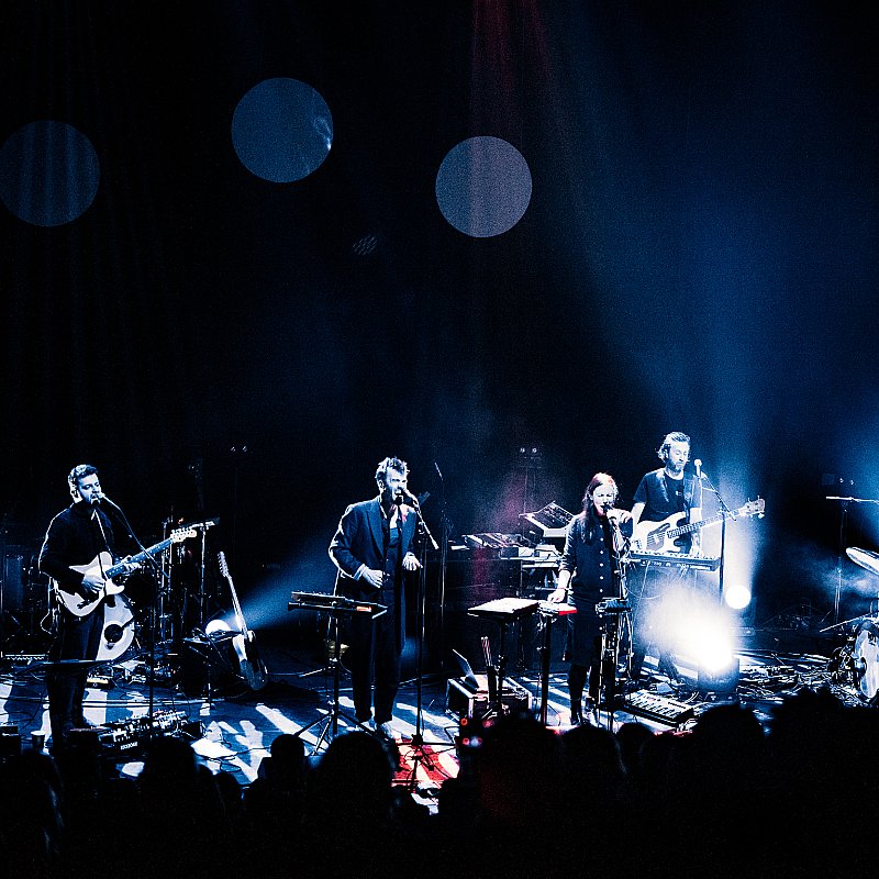 Driftwood at Handelsbeurs